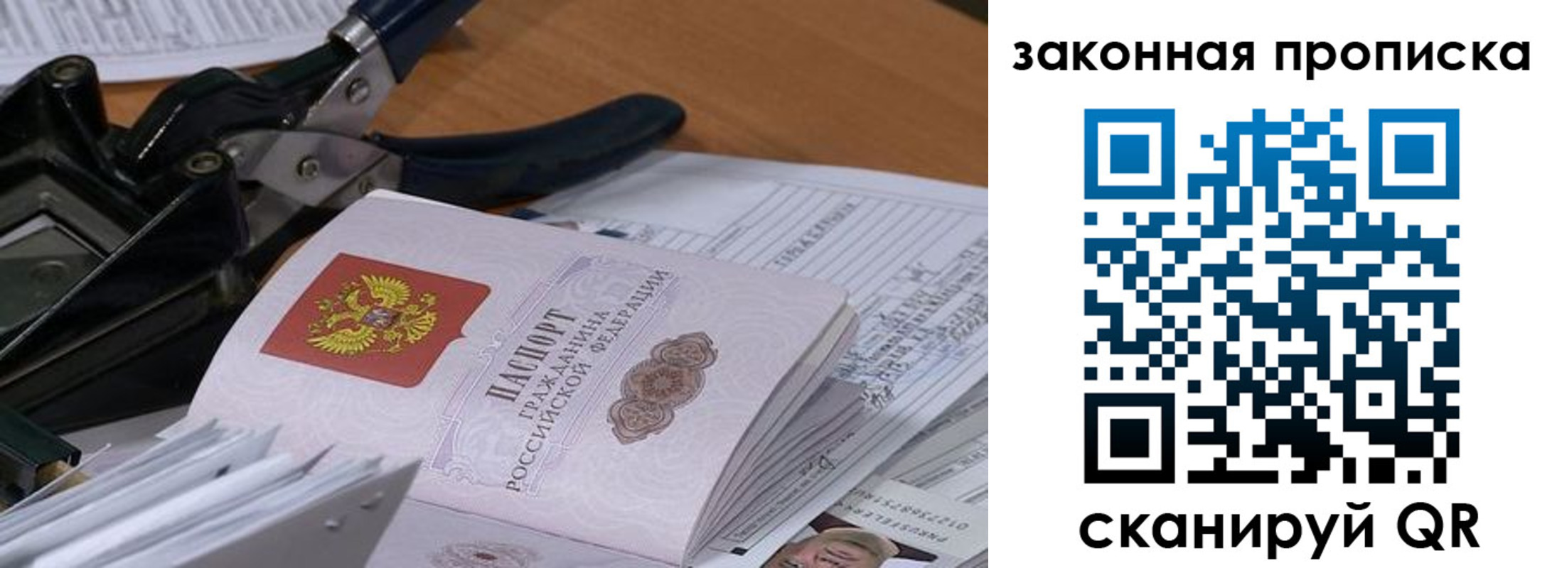 прописка 2025 в Кольчугино